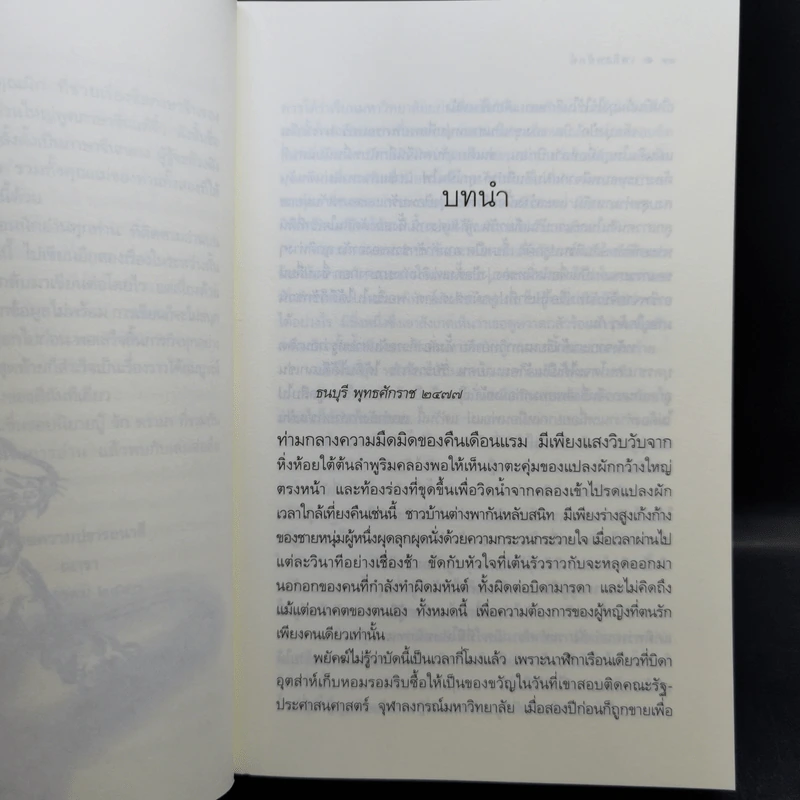 ชุด เลือดทระนง เพลิงพยัคฆ์ + ไฟรักมังกร - ณารา รูปที่ 8