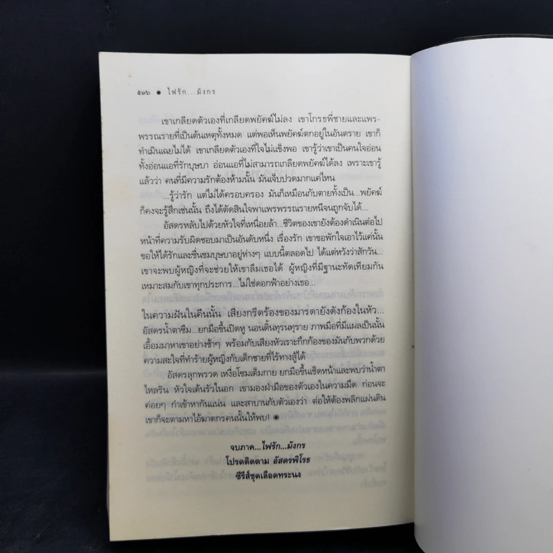ชุด เลือดทระนง เพลิงพยัคฆ์ + ไฟรักมังกร - ณารา รูปที่ 14