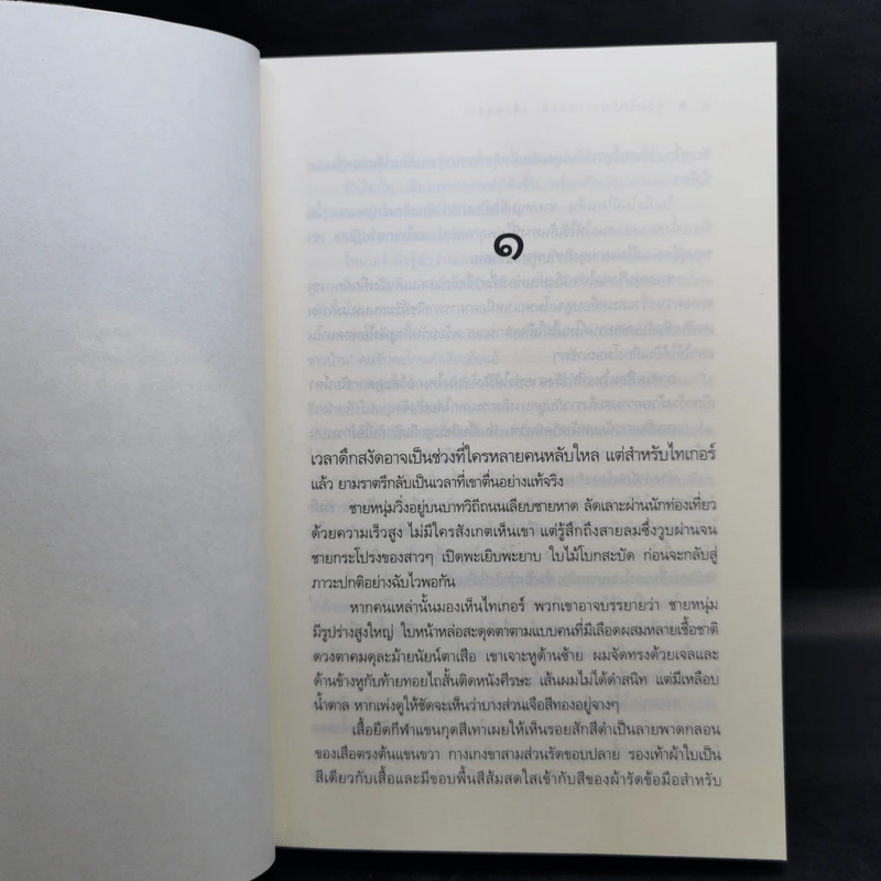 ชุด แวมไพร์บราเทอรส์ 3 เล่ม เจ้าเวหา เจ้ามหาสมุทร เจ้าพสุธา รูปที่ 10