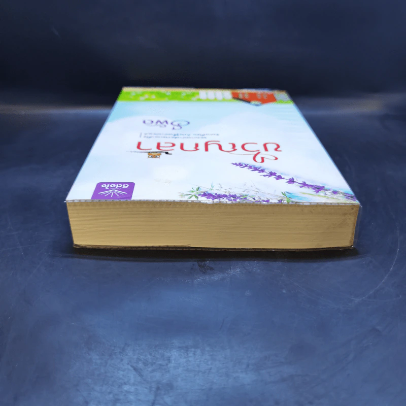 ขวัญกล้า - รพัด รูปที่ 6