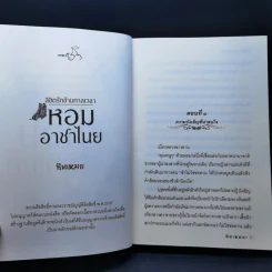 ลิขิตรักข้ามกาลเวลา หอมอาชาไนย - ซินเหมย รูปที่ 9