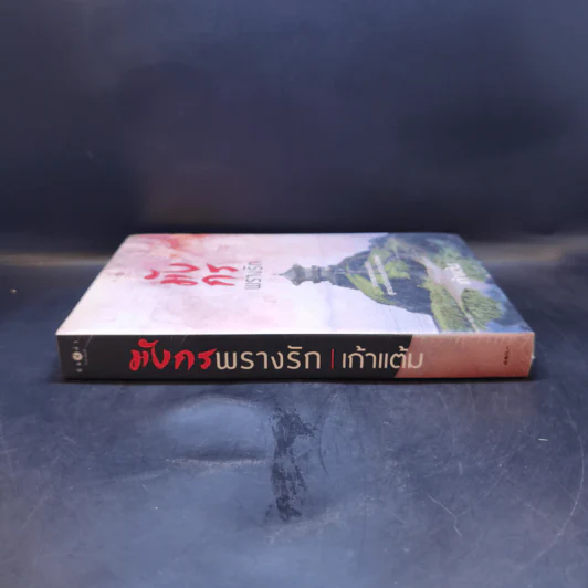 มังกรพรางรัก - เก้าแต้ม รูปที่ 3