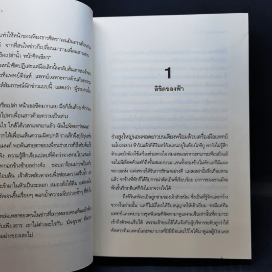 ภรรยาไร้เงา - ช่อแก้ว รูปที่ 9
