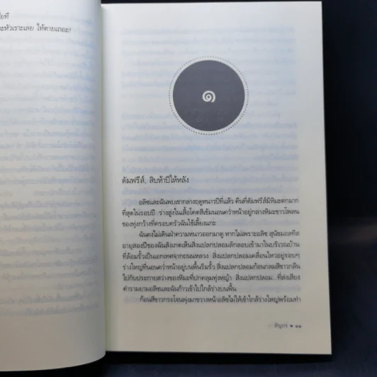 รักข้ามฟ้า : ใยกุหลาบ - ธัญภร รูปที่ 10