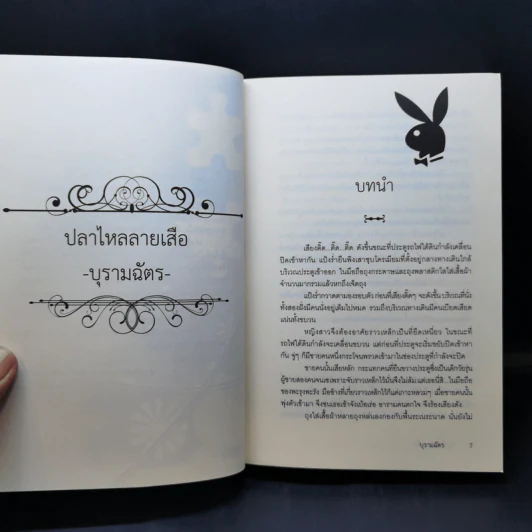 ปลาไหลลายเสือ - บุรามฉัตร รูปที่ 9