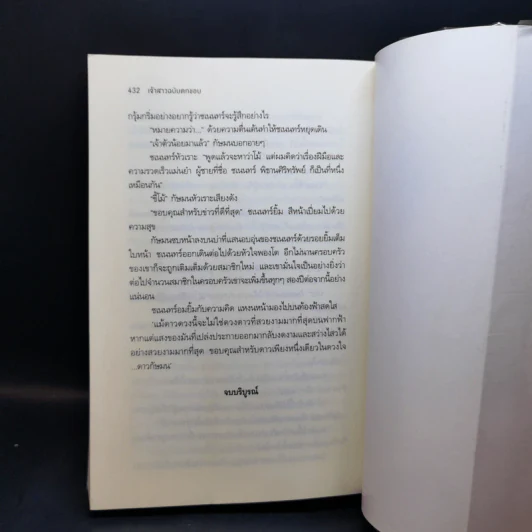 เจ้าสาวฉบับตกขอบ - รพัด รูปที่ 11