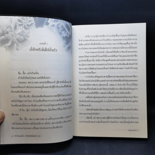 ข้าร้ายแล้วไง รักข้าหรือไม่เล่า2 เล่มจบ - กัญญาภัส รูปที่ 10