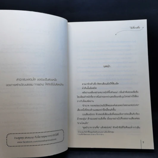 นิยายแจ่มใส ชุด กระตุกหนวดแม่ทัพ ยั่วเย้าแม่ทัพให้เผลอกาย + ลวงล่อแม่ทัพไม่มาเยือน - ไช่เสี่ยวเชวี่ย รูปที่ 10
