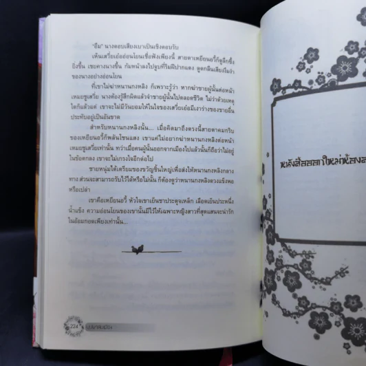 บุปผาล่มเมือง 2 เล่มจบ - โม่เหยียน รูปที่ 13
