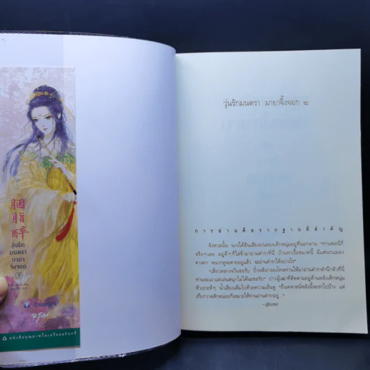 วุ่นรักมนตรา มายาจิ้งจอก 2 เล่มจบ - Shui He (สุ่ยเหอ) รูปที่ 11