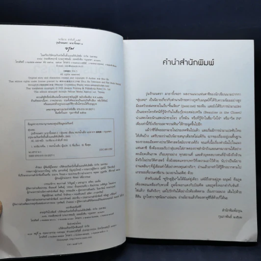 วุ่นรักมนตรา มายาจิ้งจอก 2 เล่มจบ - Shui He (สุ่ยเหอ) รูปที่ 9