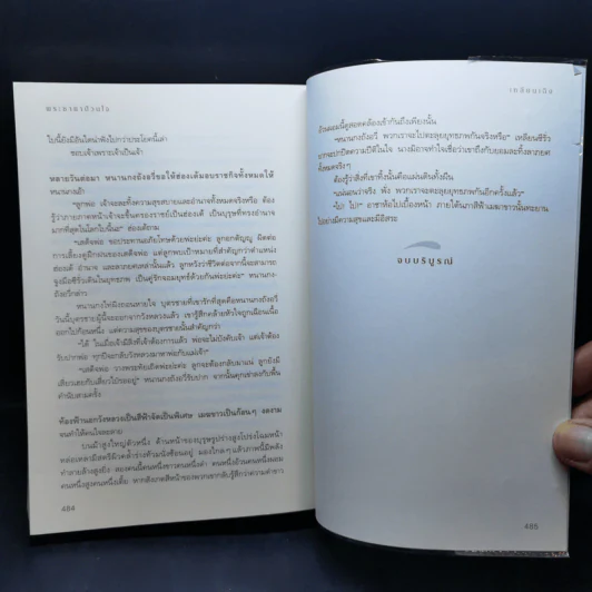 พระชายาป่วนใจ - เหลินเฉิง รูปที่ 11