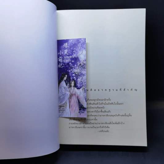 พระชายาป่วนใจ - เหลินเฉิง รูปที่ 8