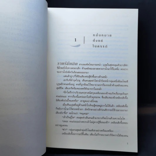 พระชายาป่วนใจ - เหลินเฉิง รูปที่ 10