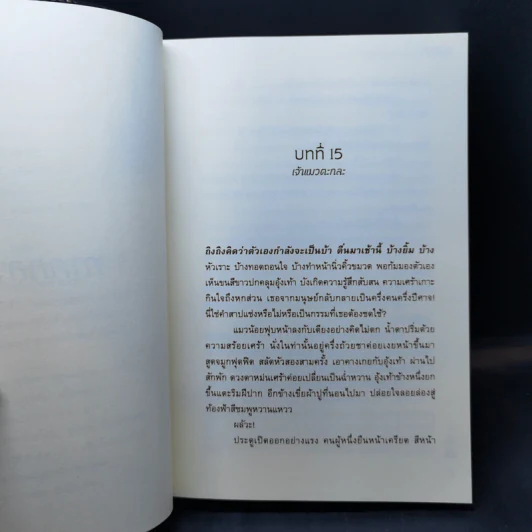 แมวข้า ใครก็อย่าอาจหาญมาแตะต้อง 2 เล่มจบ - หลินหลิน รูปที่ 11