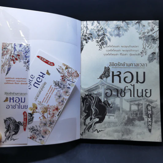 ลิขิตรักข้ามกาลเวลา หอมอาชาไนย - ซินเหมย รูปที่ 8