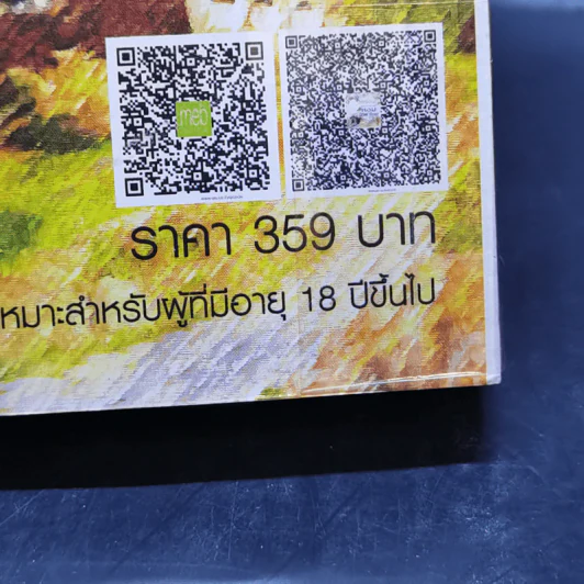 ลิขิตรักข้ามกาลเวลา หอมอาชาไนย - ซินเหมย รูปที่ 11