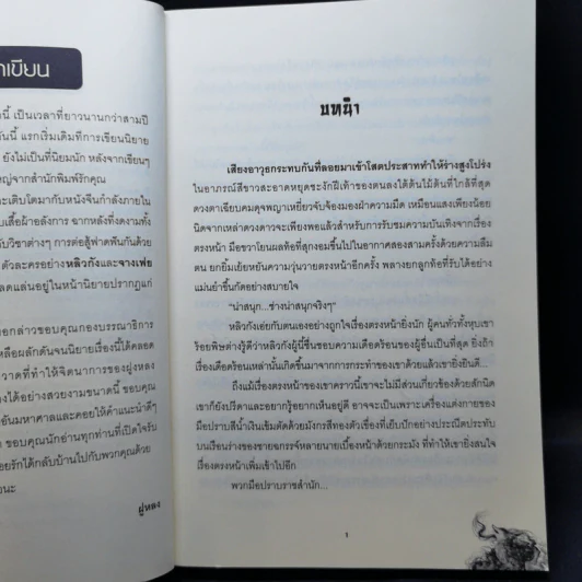 หมาป่าร่ายรัก ชุด เจ้าสาวลวงรัก - ฝูหลง รูปที่ 9