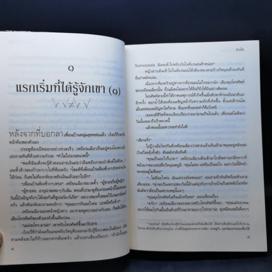 หนึ่งใจมีไว้รักคุณ - Sang Jie (ซังเจี้ย) รูปที่ 11