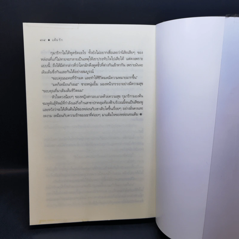 แต้มรัก - ผักบุ้ง รูปที่ 10