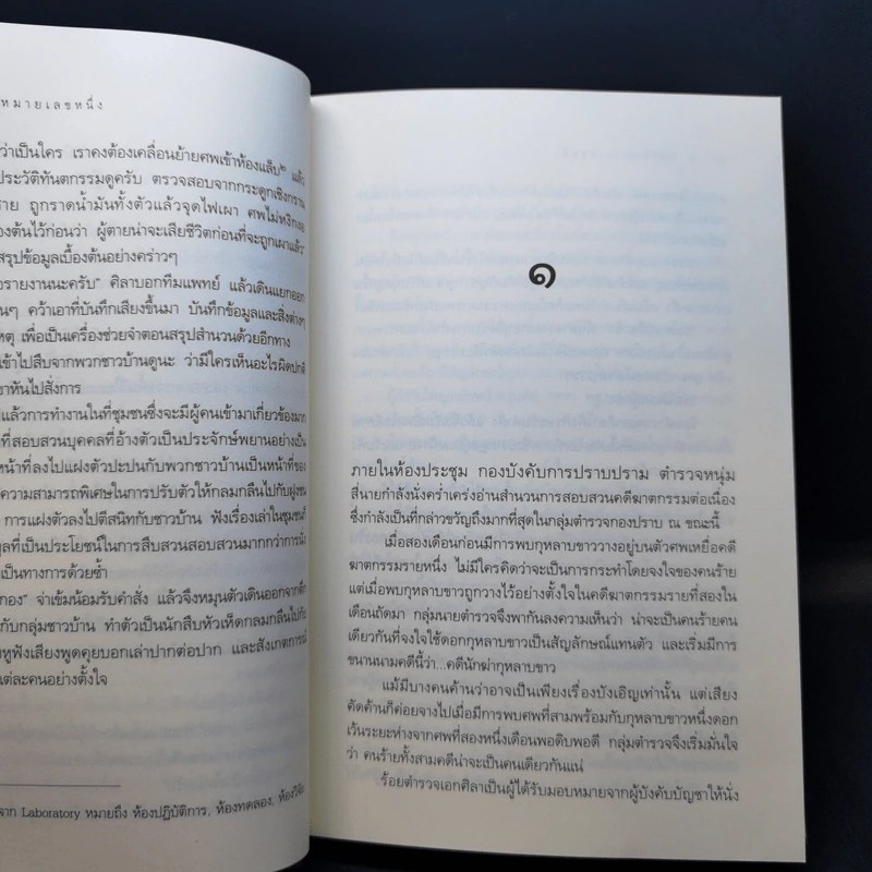 คดีรักหมายเลขหนึ่ง - ธุวดารา รูปที่ 11