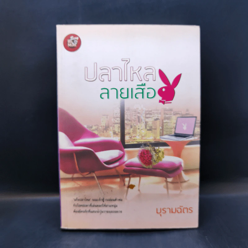 ปลาไหลลายเสือ - บุรามฉัตร รูปที่ 1