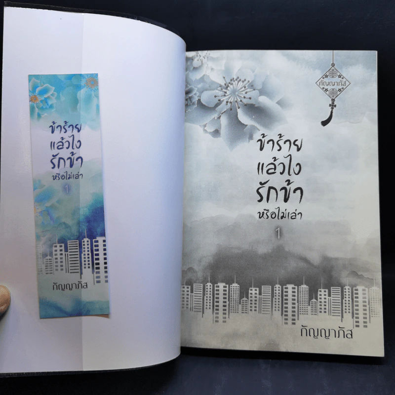 ข้าร้ายแล้วไง รักข้าหรือไม่เล่า2 เล่มจบ - กัญญาภัส รูปที่ 8