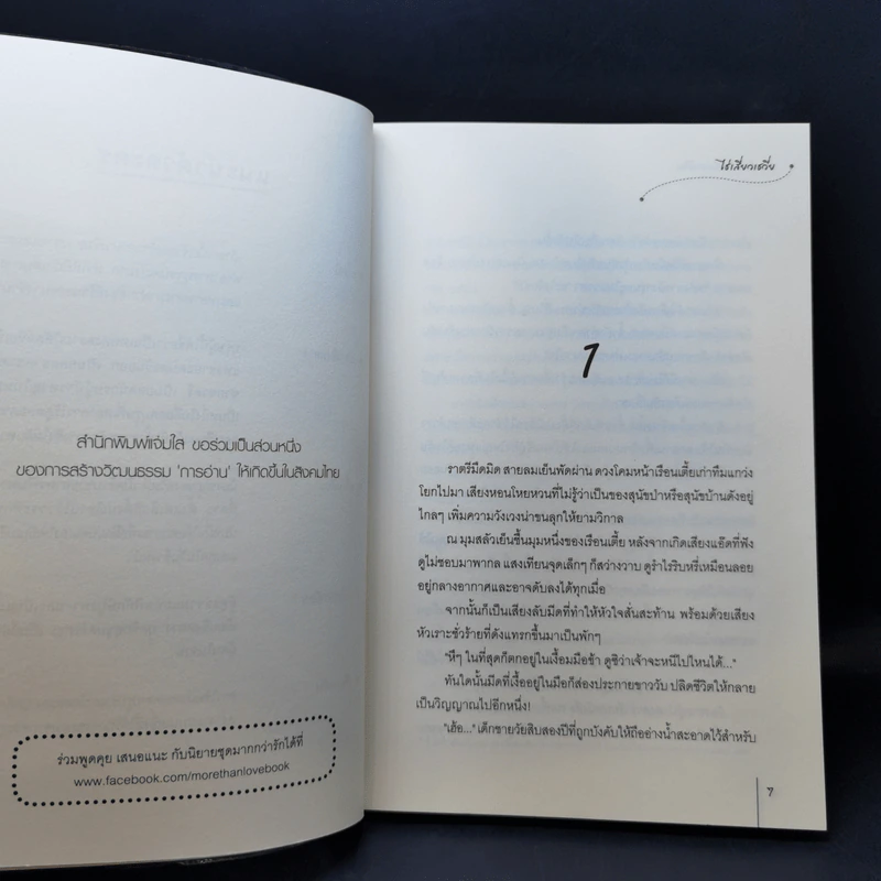 นิยายแจ่มใส ชุด กระตุกหนวดแม่ทัพ ยั่วเย้าแม่ทัพให้เผลอกาย + ลวงล่อแม่ทัพไม่มาเยือน - ไช่เสี่ยวเชวี่ย รูปที่ 15