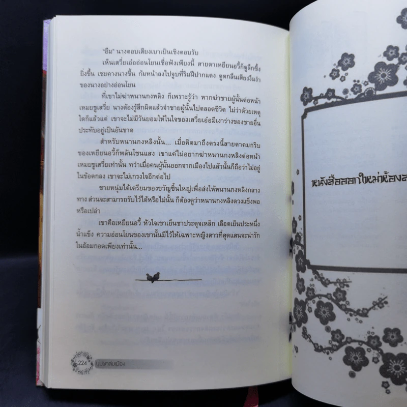 บุปผาล่มเมือง 2 เล่มจบ - โม่เหยียน รูปที่ 13