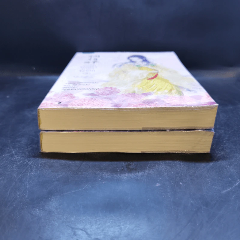 วุ่นรักมนตรา มายาจิ้งจอก 2 เล่มจบ - Shui He (สุ่ยเหอ) รูปที่ 4