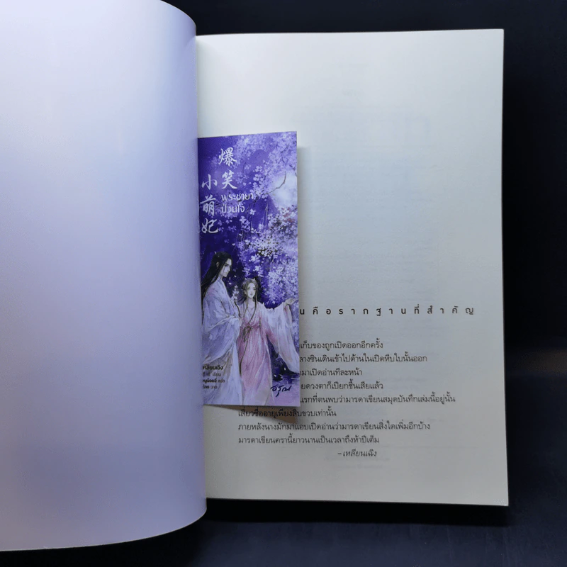 พระชายาป่วนใจ - เหลินเฉิง รูปที่ 8