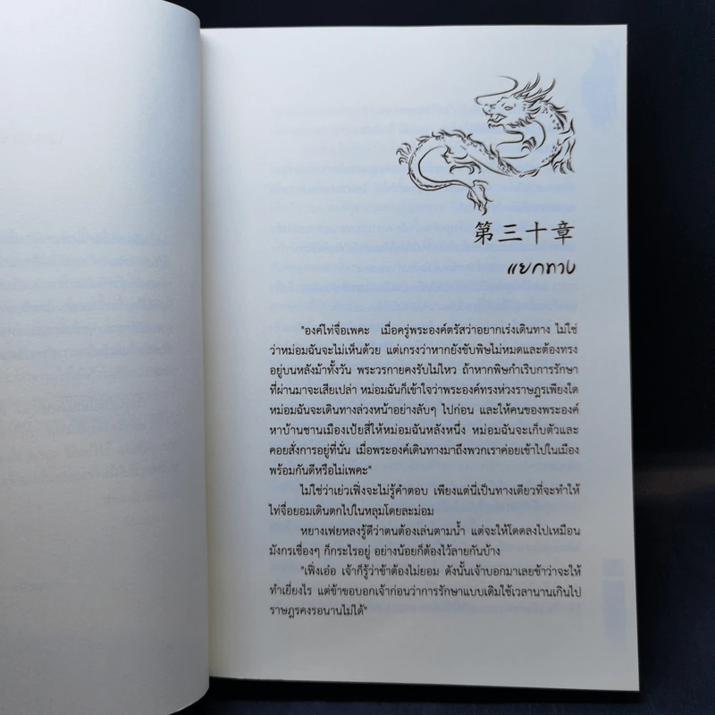 เล่ห์หงส์เหลี่ยมมังกร 2 เล่มจบ - Phoenix-C รูปที่ 14