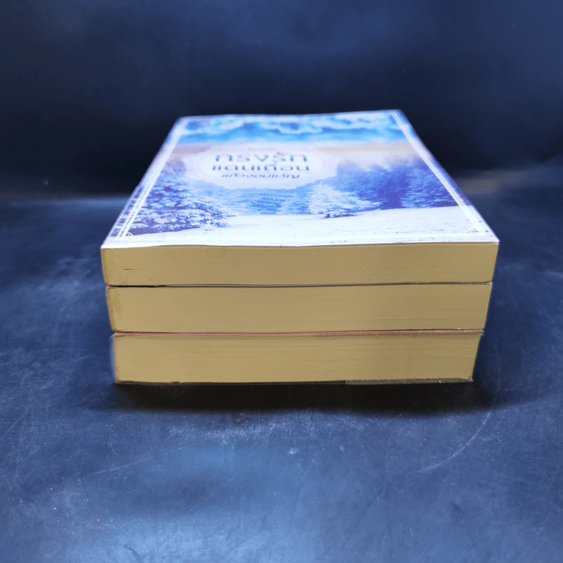 ชุด กรงรัก 3 เล่ม : กรงรักแดนเถื่อน + กรงรักซ่อนเสน่หา + กรงรักพิศวาสลวง - แก้วจอมขวัญ รูปที่ 3