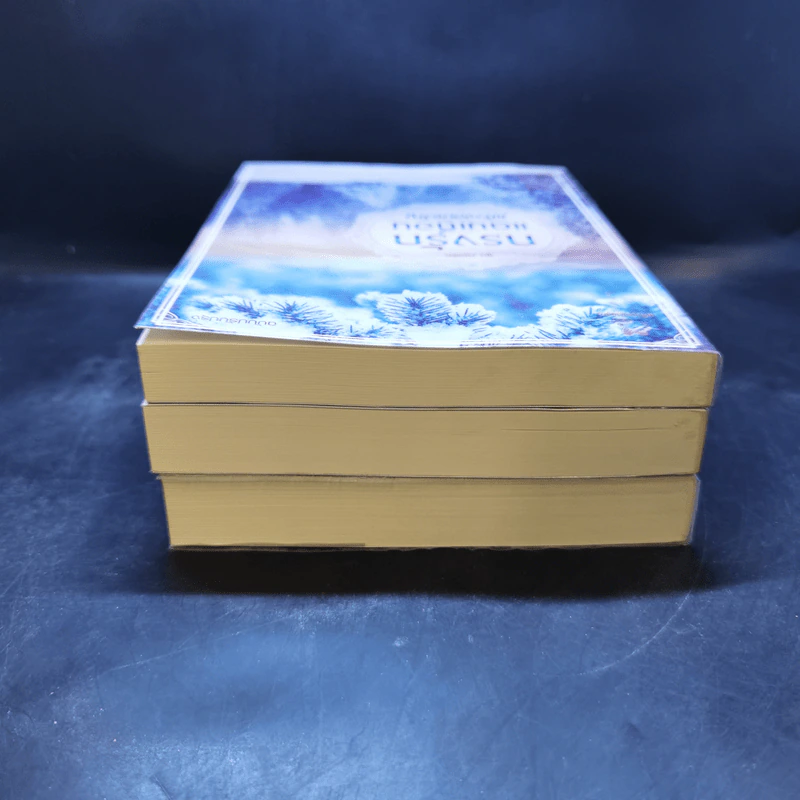 ชุด กรงรัก 3 เล่ม : กรงรักแดนเถื่อน + กรงรักซ่อนเสน่หา + กรงรักพิศวาสลวง - แก้วจอมขวัญ รูปที่ 5