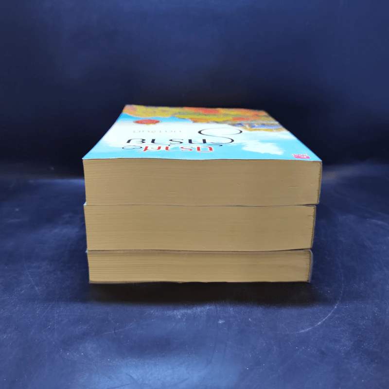 ชุด อริรักมาเฟีย : เดอะ เเชโดว์ เอ็มเพอเรอร์ 3 เล่ม : นิราศรักร้าย + ทนายเล่ห์รัก + กลพยัคฆ์ซ่อนลาย - มณีจันท์ รูปที่ 5
