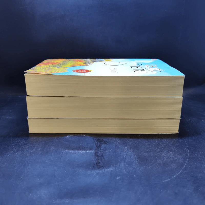ชุด อริรักมาเฟีย : เดอะ เเชโดว์ เอ็มเพอเรอร์ 3 เล่ม : นิราศรักร้าย + ทนายเล่ห์รัก + กลพยัคฆ์ซ่อนลาย - มณีจันท์ รูปที่ 4