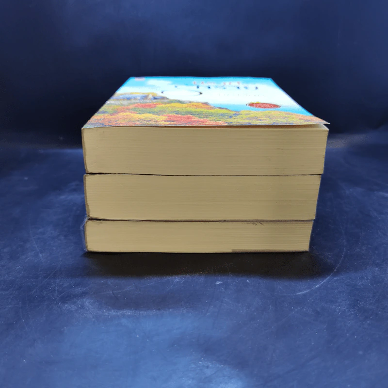 ชุด อริรักมาเฟีย : เดอะ เเชโดว์ เอ็มเพอเรอร์ 3 เล่ม : นิราศรักร้าย + ทนายเล่ห์รัก + กลพยัคฆ์ซ่อนลาย - มณีจันท์ รูปที่ 3