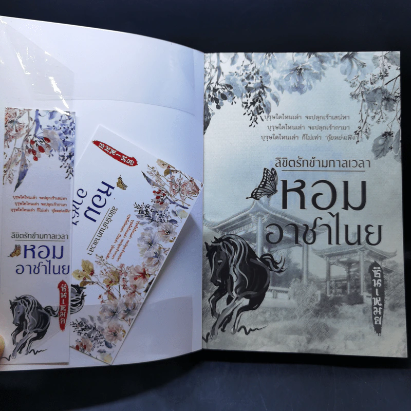 ลิขิตรักข้ามกาลเวลา หอมอาชาไนย - ซินเหมย รูปที่ 8