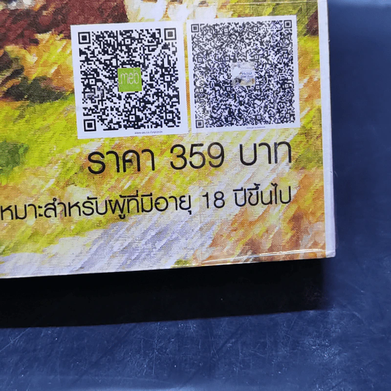 ลิขิตรักข้ามกาลเวลา หอมอาชาไนย - ซินเหมย รูปที่ 11