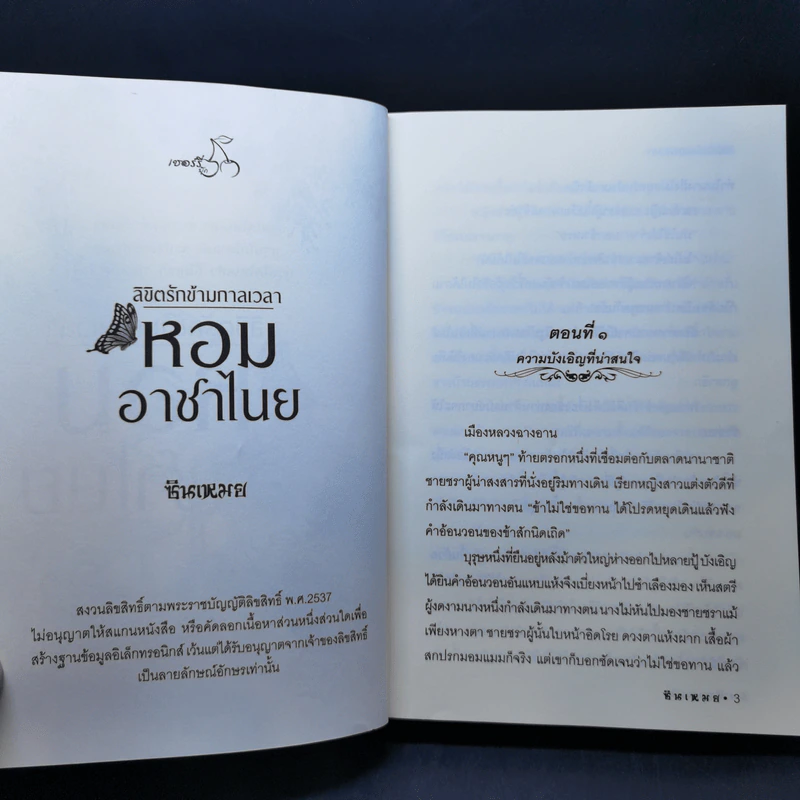 ลิขิตรักข้ามกาลเวลา หอมอาชาไนย - ซินเหมย รูปที่ 9