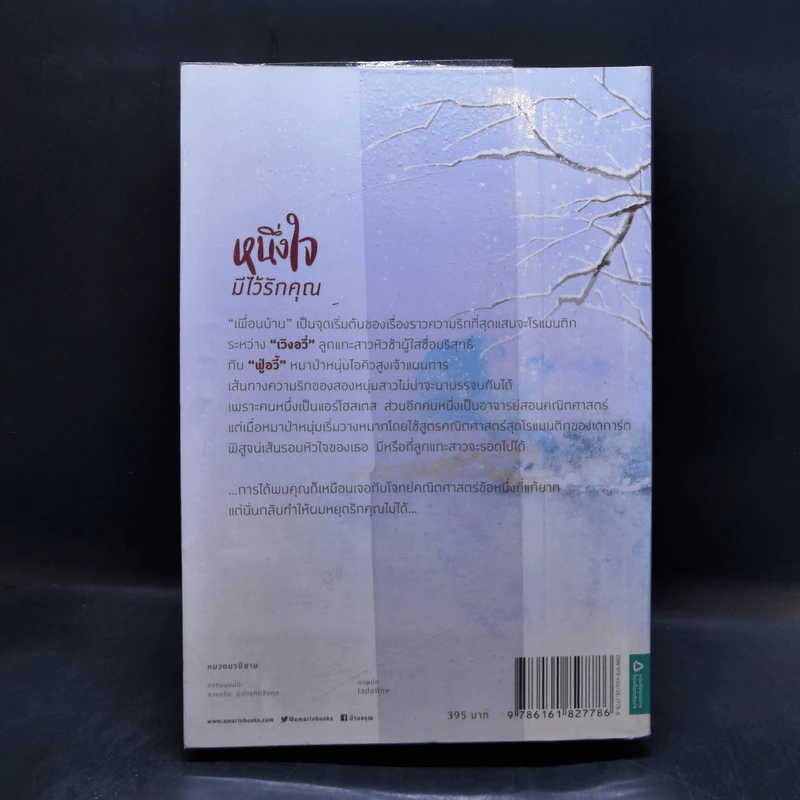หนึ่งใจมีไว้รักคุณ - Sang Jie (ซังเจี้ย) รูปที่ 2