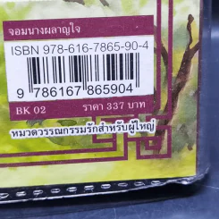 จอมนางผลาญใจ - เหอไป๋ซิง รูปที่ 12