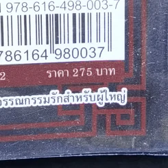 ตำราเกี้ยวสตรีฉบับท่านแม่ทัพ - ซิงซิน รูปที่ 12