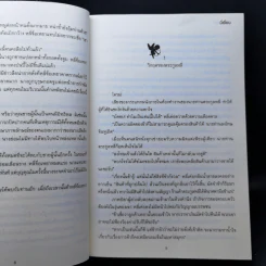 เงารักอสุรา - มี่เยี่ยน รูปที่ 11
