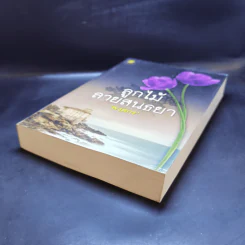 ลูกไม้ลายสนธยา - พงศกร รูปที่ 7