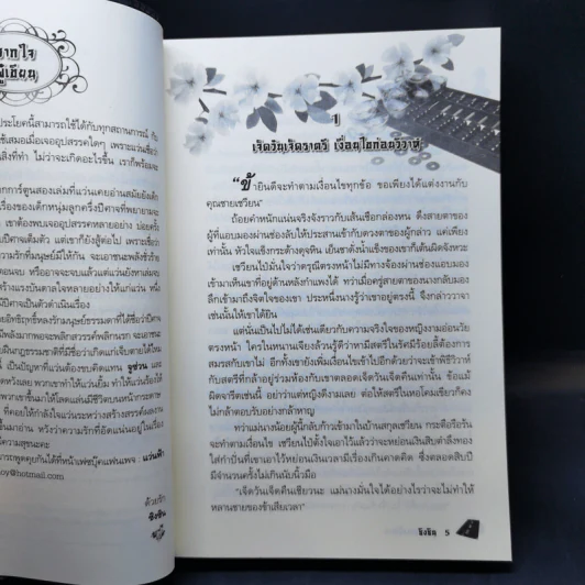 ฮูหยินของปีศาจ - ซิงซิน รูปที่ 9