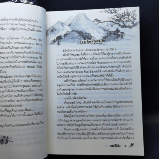 จอมนางผลาญใจ - เหอไป๋ซิง รูปที่ 10