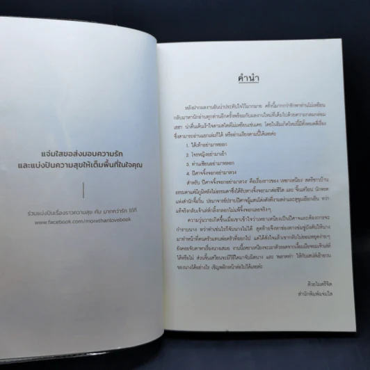 นิยายแจ่มใส ปีศาจจิ้งจอกอย่ามาลวง - โม่เหยียน รูปที่ 8