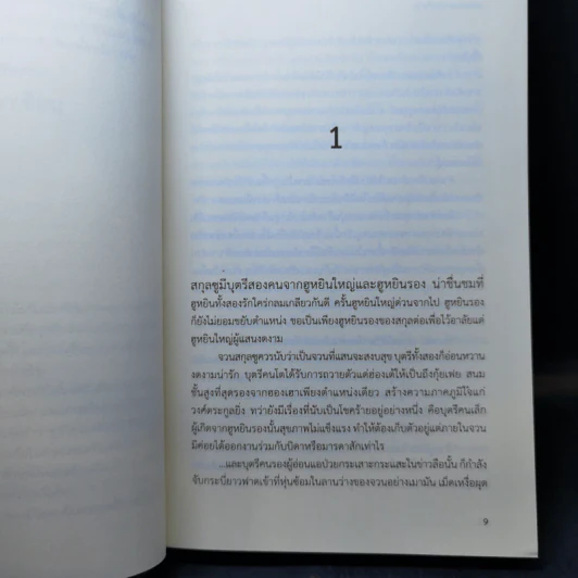 พระชายาประชิดวัง - แสงเพลิง รูปที่ 9