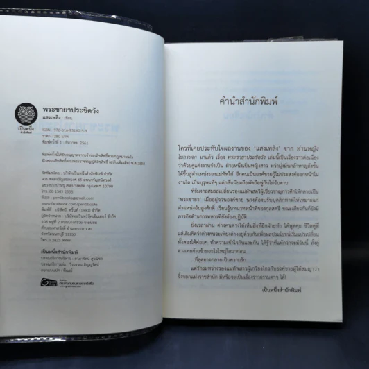 พระชายาประชิดวัง - แสงเพลิง รูปที่ 8